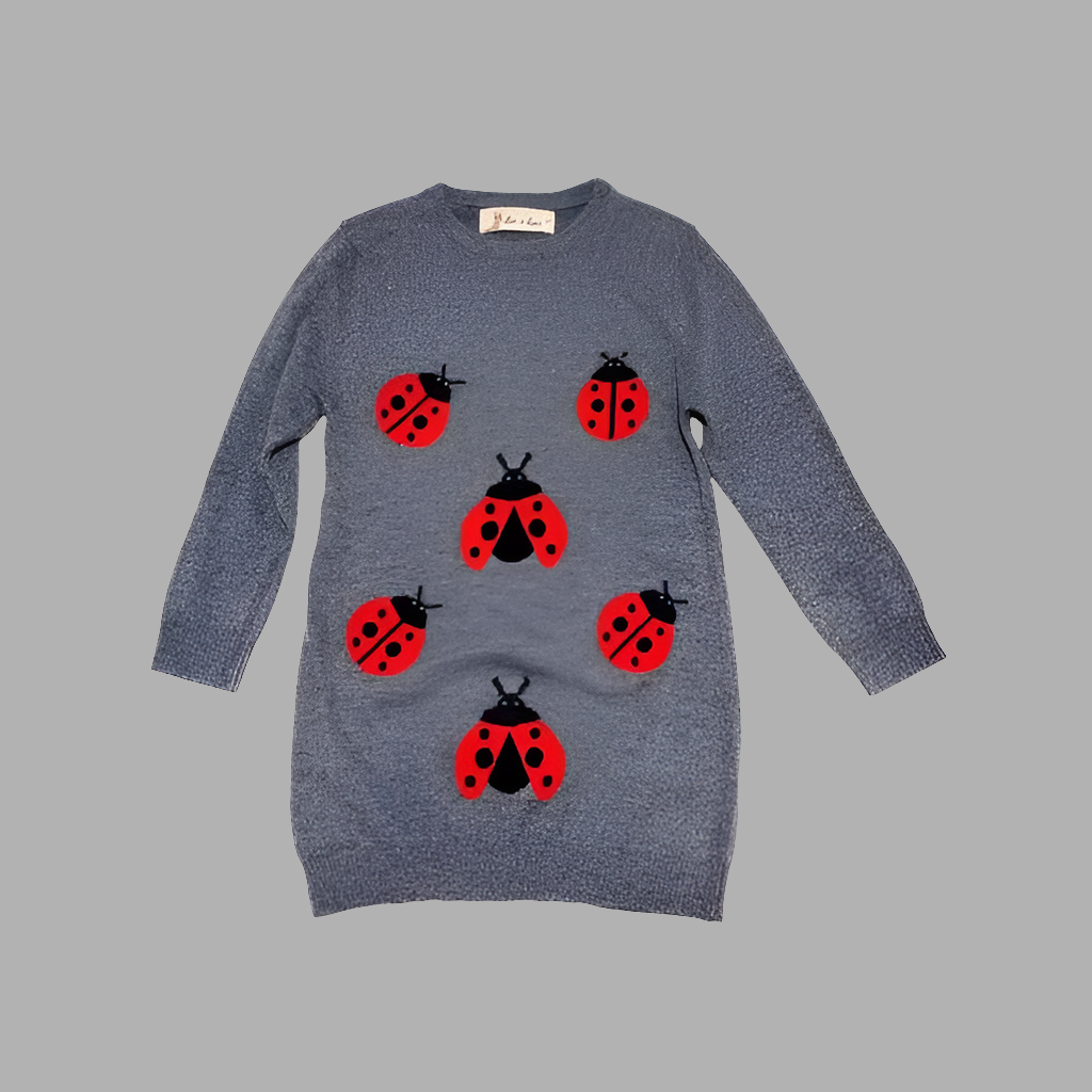 Ladybug Sweater